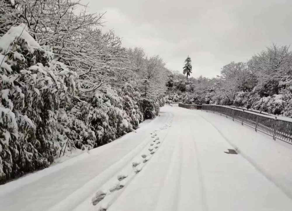 金佛山還有雪嗎 金佛山今降大雪 周末又有好去處！