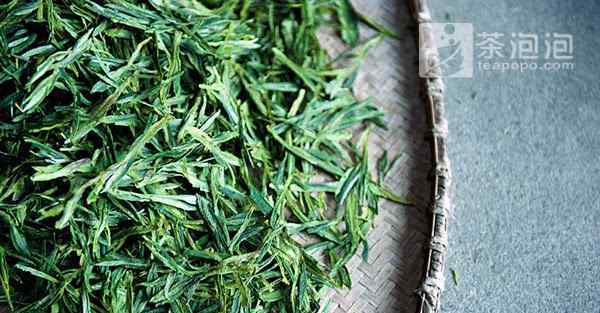 寶頂綠茶 100多種綠茶,你喝過幾種?