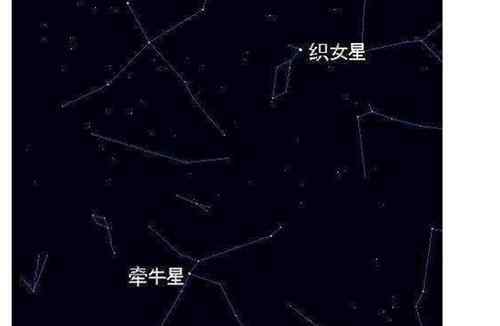 牽牛星在哪個星座 牛郎星屬于什么星座