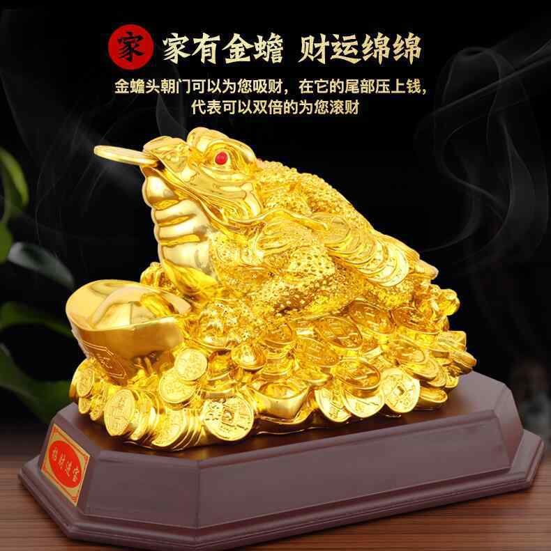 金蟾蜍 金蟾是什么動物現(xiàn)實中有嗎，活的金蟾蜍多少錢一只？