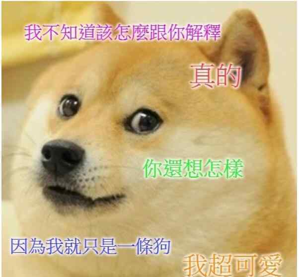 doge狗 神煩狗是什么意思，神煩狗doge為什么是精神污染？