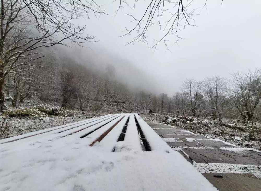 峨邊黑竹溝 峨邊黑竹溝終于下雪了，快來為你家鄉(xiāng)的美景點個贊