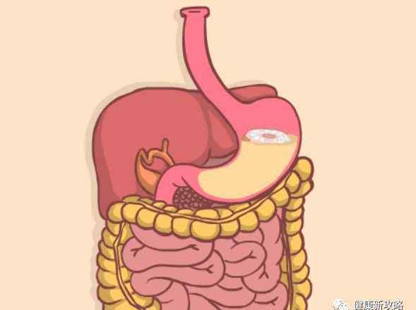 胃酸過(guò)多是什么原因 吃東西反酸是怎么回事？胃酸過(guò)多用什么中和？