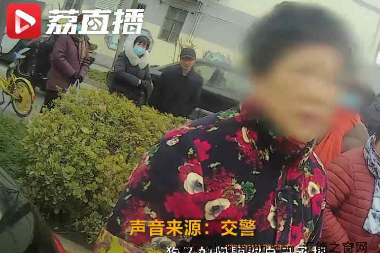 狗狗未拴繩過馬路被撞死主人全責(zé) 究竟發(fā)生了什么