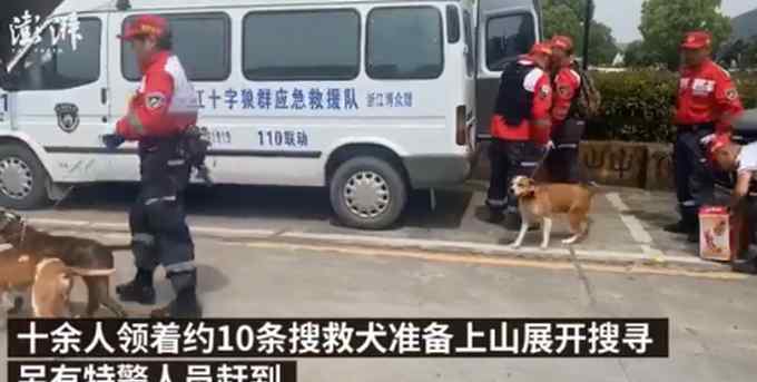 十余人領(lǐng)著約10條搜救犬 大量特警加入搜尋杭州外逃金錢豹！