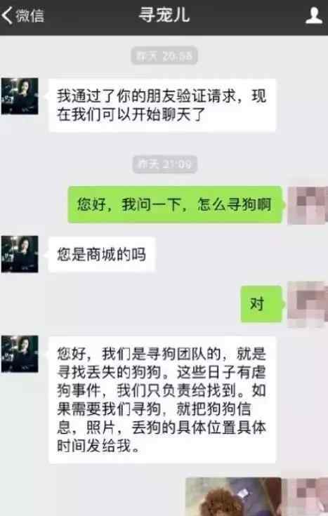 找狗 找狗尋狗：自從看了這些騙術(shù)，我再也沒上過當(dāng)