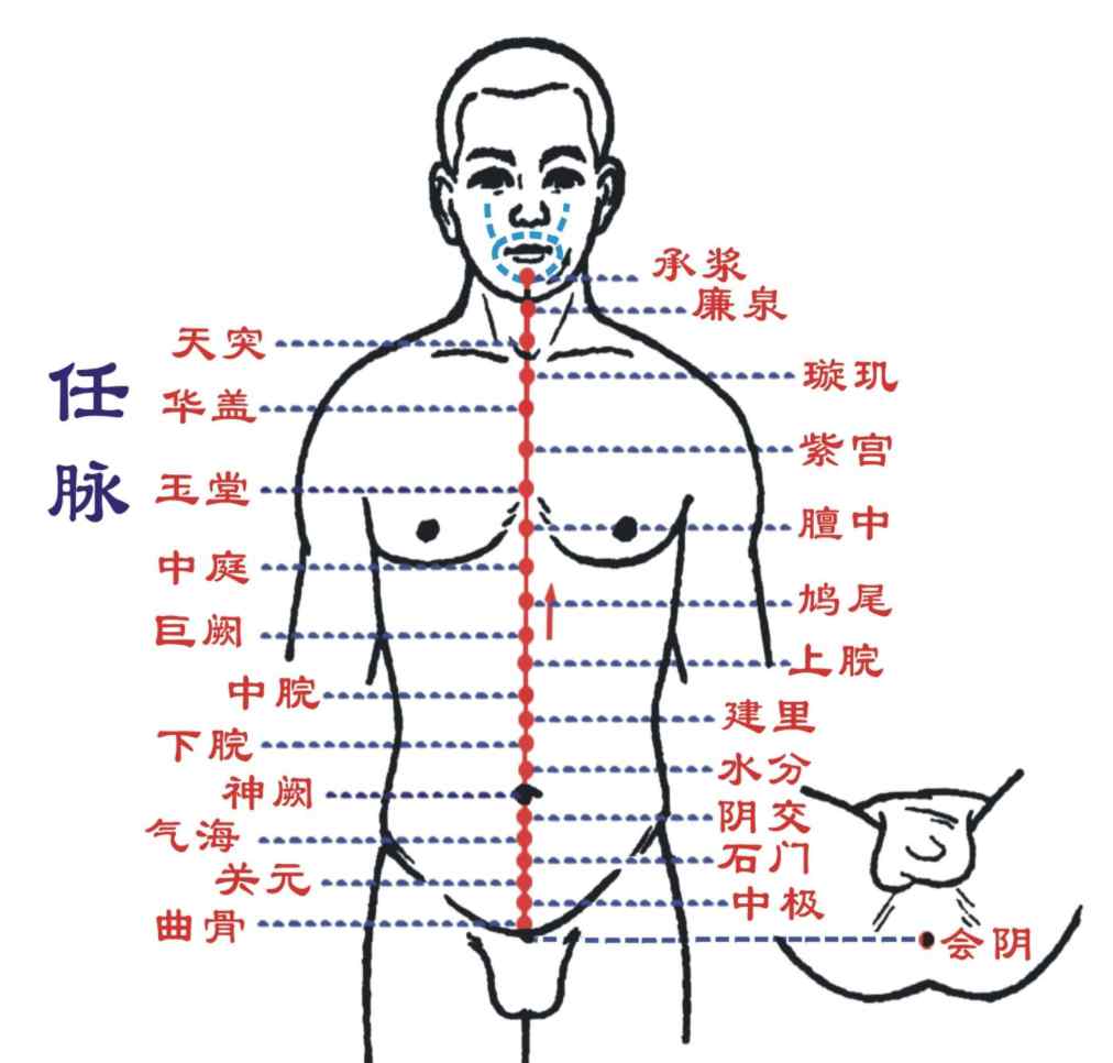 任脈的作用和功能 任脈腧穴按摩及功效