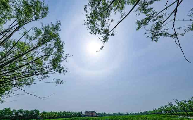 北京園博園上空現(xiàn)日暈 這意味著什么?