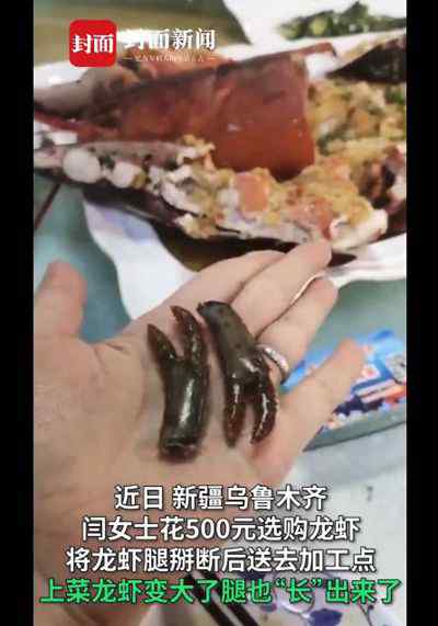 女子拿龍蝦去飯店加工疑似被掉包 掰掉的小腿“重生”了！ 到底什么情況呢？