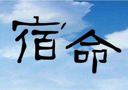 八字木多 山隱道長：八字木多為害的命理