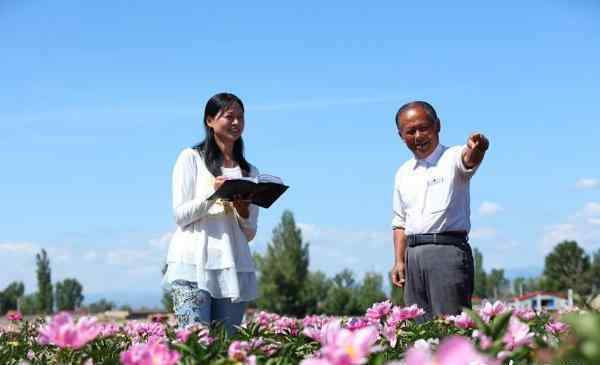 新疆哈巴河縣引進(jìn)芍藥實(shí)現(xiàn)觀賞、收益雙豐收(圖