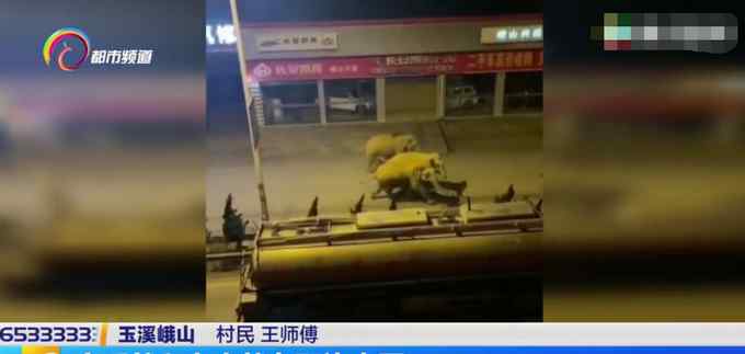 云南野象群6頭大象闖入汽車店喝干兩噸水 監(jiān)控拍下罕見(jiàn)一幕